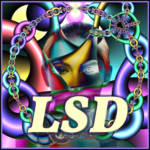 LSD Simulator
