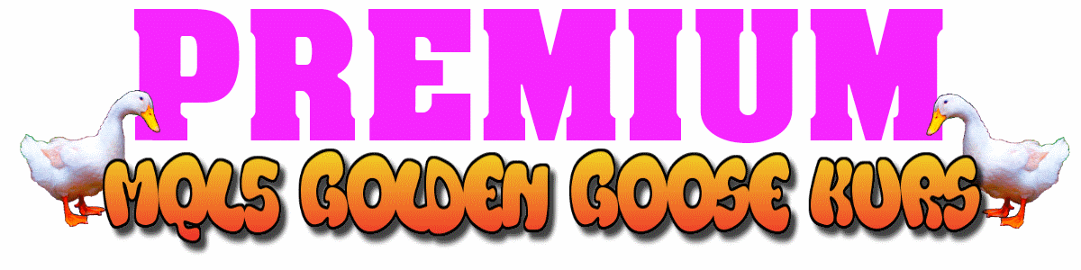 MQL5 Tutorial Golden Goose Kurs