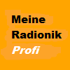 MeineRadionik Profi