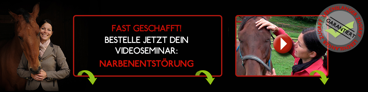 Narbenentstörung