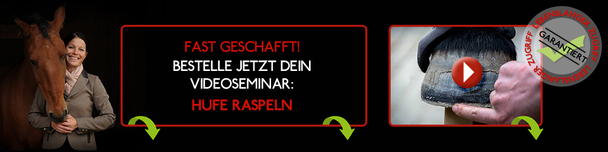 Hufe raspeln leicht gemacht