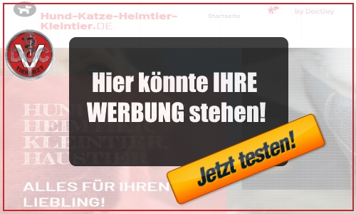 Werbung Haustier-Experten-Portal