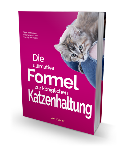 Katze erziehen