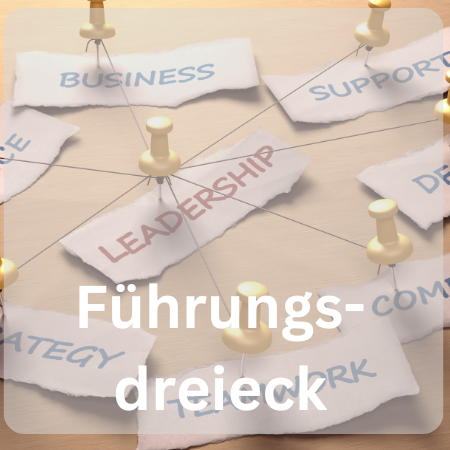 Das Führungsdreieck · Können, Wollen, Dürfen Video und Workb