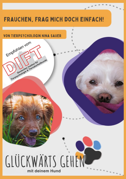 Kurs: Frauchen, frag mich doch einfach!