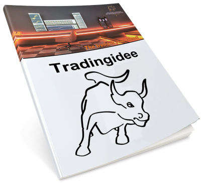 Tradingideen Komplettreport – Megatrend-Aktien & Optionsscheine (Komplettpaket)