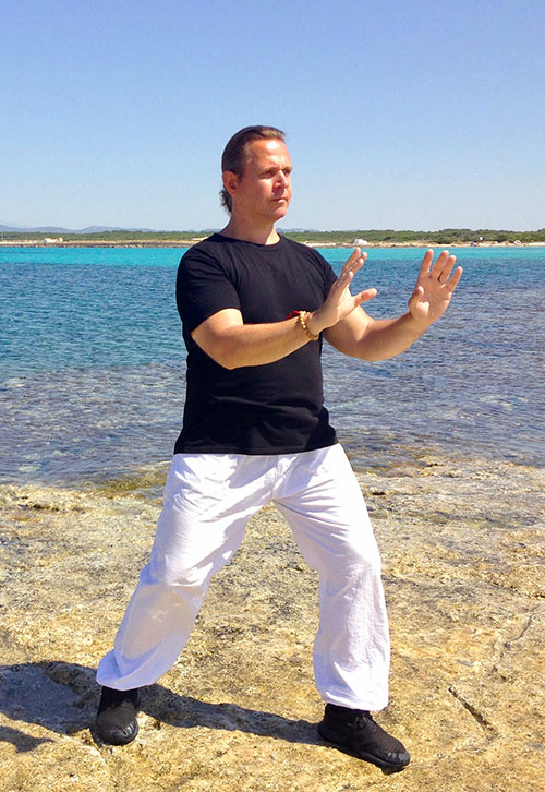 Wave Tai Chi Body and Soul
