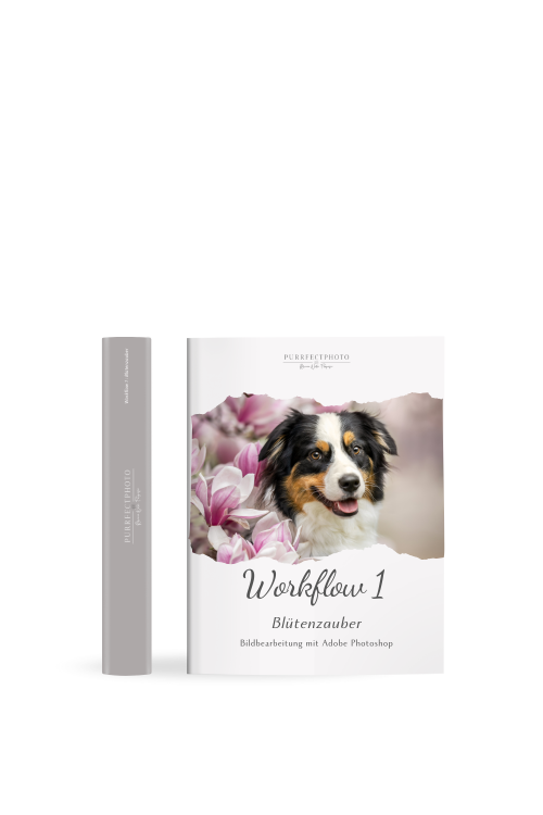 Bildbearbeitung lernen: Workflow 1 Blütenzauber