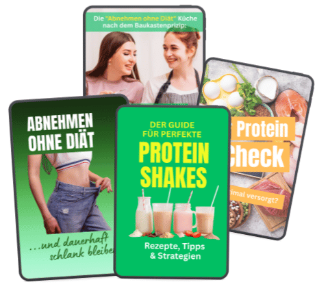 PLR-E-Book-Bundle-Ernährung
