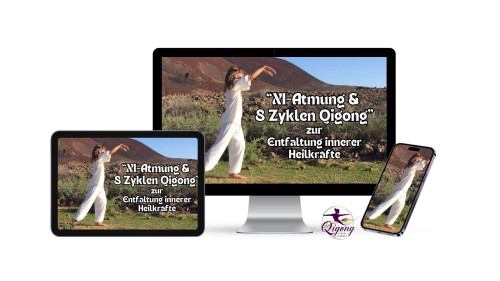 Premium Videokurs: 8 Zyklen Qigong (Spitzenprodukt)
