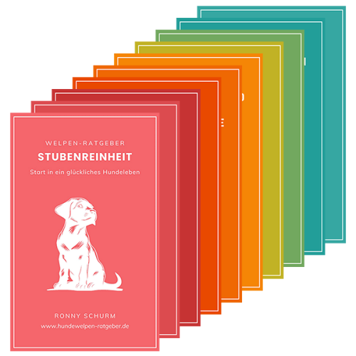 Komplettpaket mit allen 10 Hundewelpen-Ratgebern