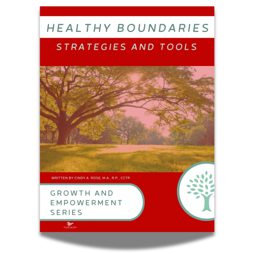 Healthy Boundaries Toolkit · Promote and Earn 50%