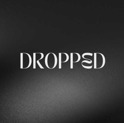 Dropshipping · Guide