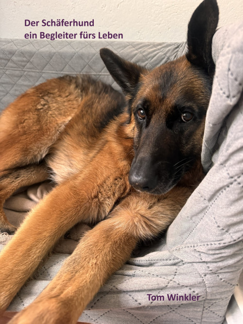 Der Schäferhund ein Begleiter fürs Leben