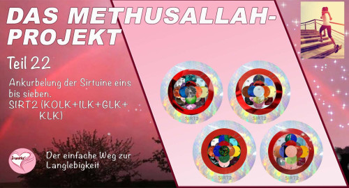 Das Methusallah-Projekt Teil 22