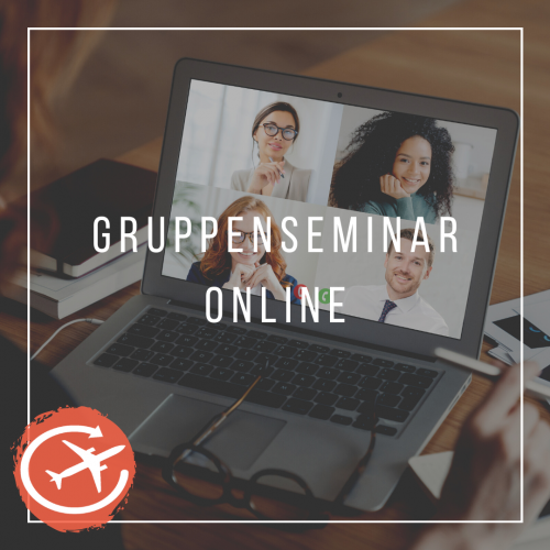 Flugangstseminar online mit Menschen in einer Videokonferenz au