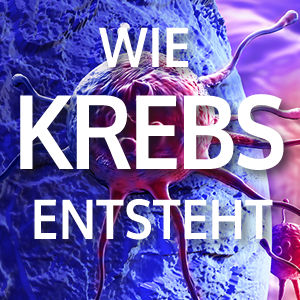 ov_20_krebs_produkt